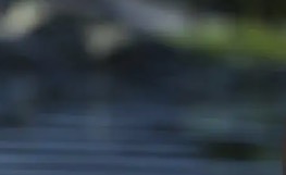 【欧美SLG/汉化/动态】回家7.16.1汉化版【PC+安卓/3.23G/更新】